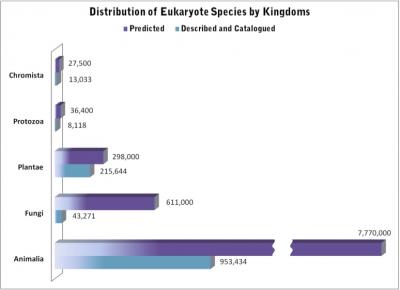 Distribution of Species by Kingdom