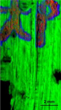 X-ray fluorescence maps