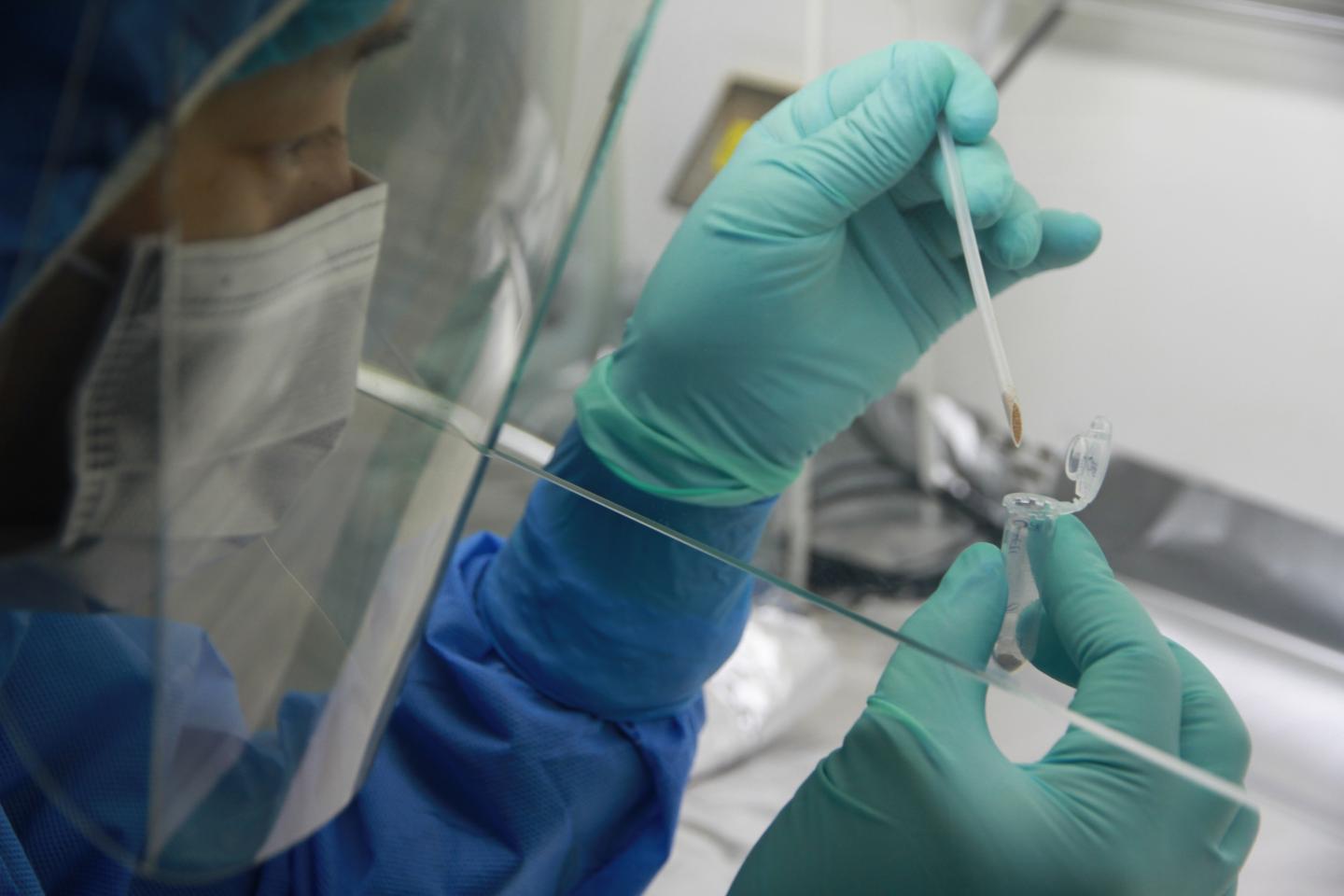 Preparing Sediment Samples in IVPP Cleanroom
