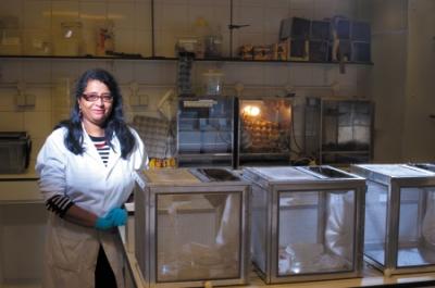 Dr. Rita Tewari, The University of Nottingham