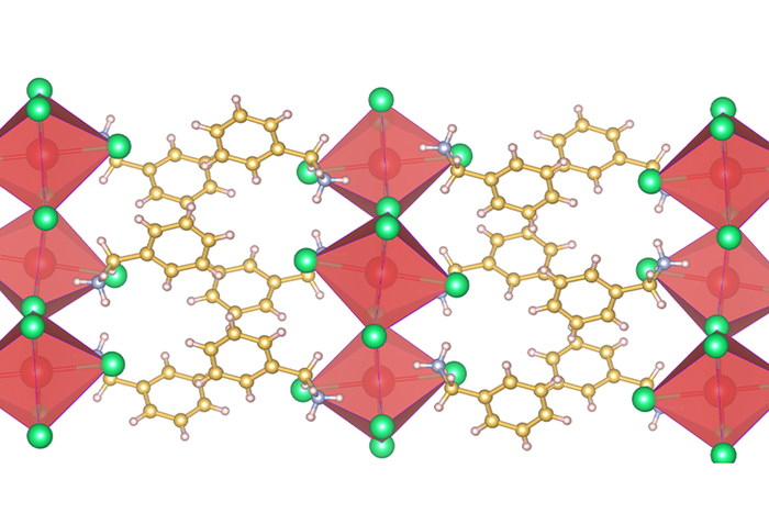 Exploration of two-dimensional perovskite in device settings yields promise for technology