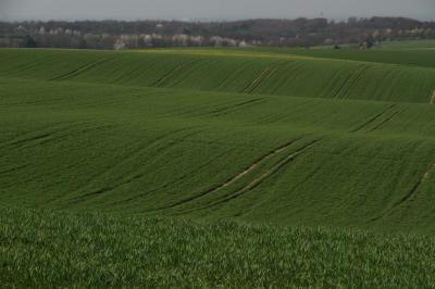 Putting the 'Green' Back in Europe's Farming Policy (1 of 9)