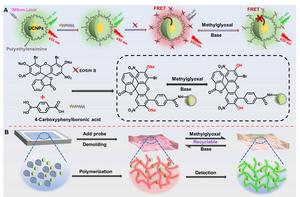 Innovative Fluorescent Sensor Developed for Precise Monitoring of Methylglyoxal