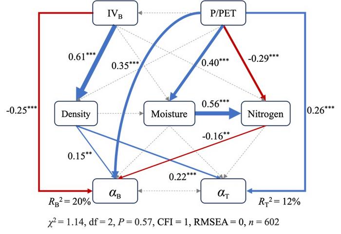 The SEM shows the combined effects of bamboo invasion, climate, and soil on the scaling exponents of the DBH–height allometries for bamboo and tree.