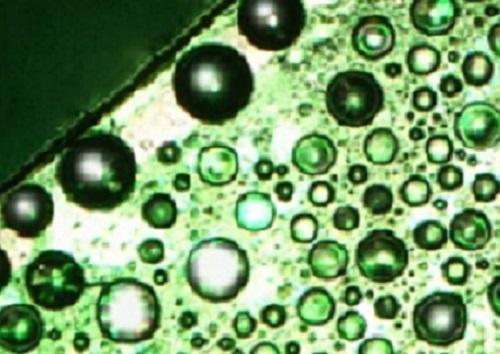 Vapor Harvesting Gets the Edge