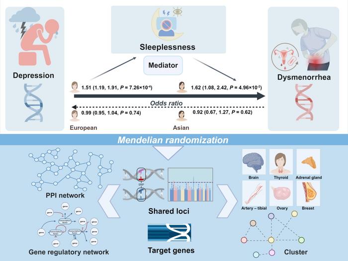 Researchers identify potential genes linking depression to menstrual pain