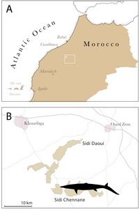 Map showing where the fossils were found