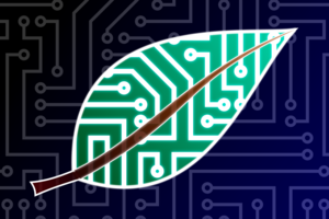 Cyber-leaf image