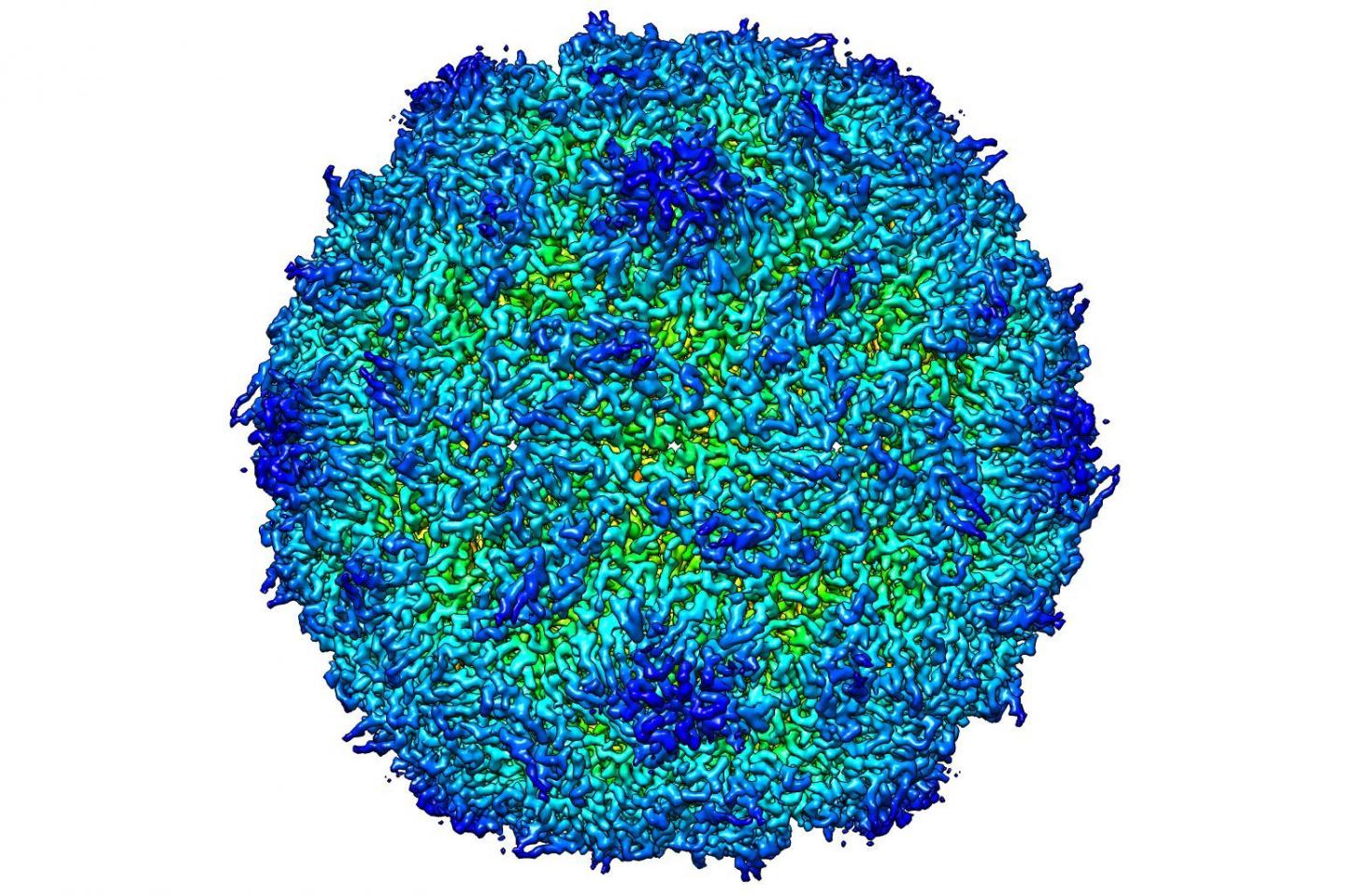 New Technique Could Enable Safer Production of Polio Vaccines