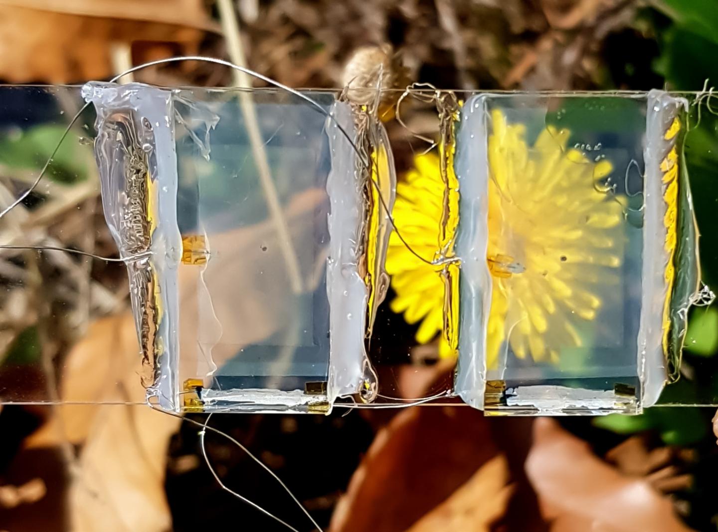 Researchers make transparent solar cells from hole-riddled silicon