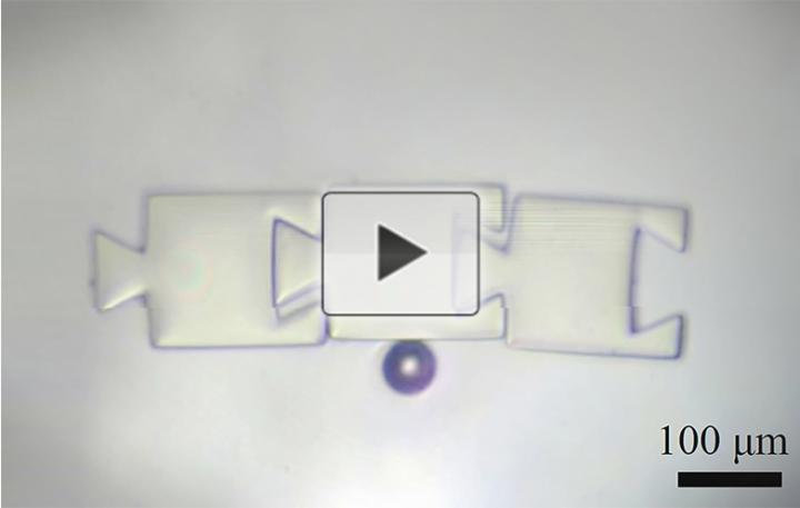 Lasers Create Miniature Robots from Bubbles (Video)