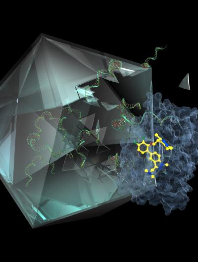 Illustration of the Molecule