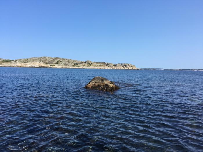 The experimental skerry in the Koster archipelago off the Swedish west coast.