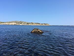 The experimental skerry in the Koster archipelago off the Swedish west coast.