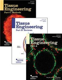 Tissue Engineering