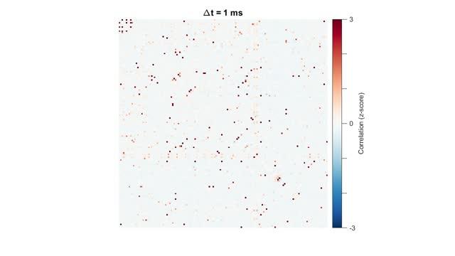 Connectivity Matrix