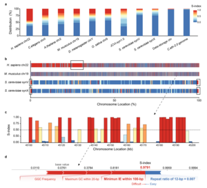 Figure 2. S-index of different chromosomes and genomes.