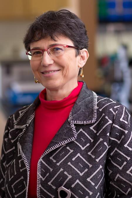 Grace Aldrovandi, UCLA