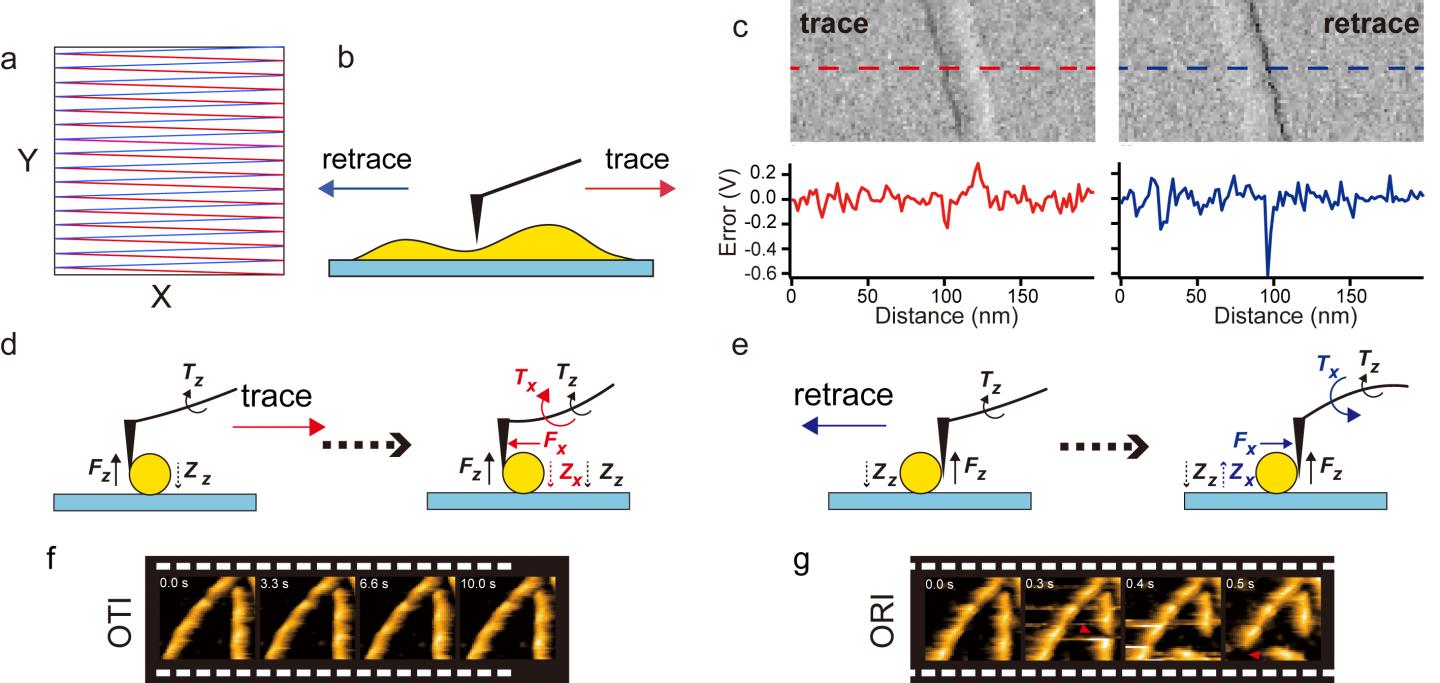Figure 1. Difference of invasiveness between trace and retrace scanning processes
