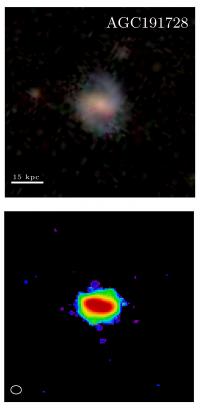 Stellar vs. Molecular Hydrogen in a Gas-Rich Galaxy