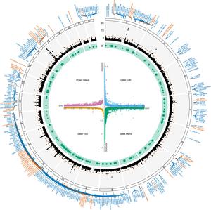 Discovery of known and previously undescribed loci from the discovery mega-analysis of African ancestry individuals