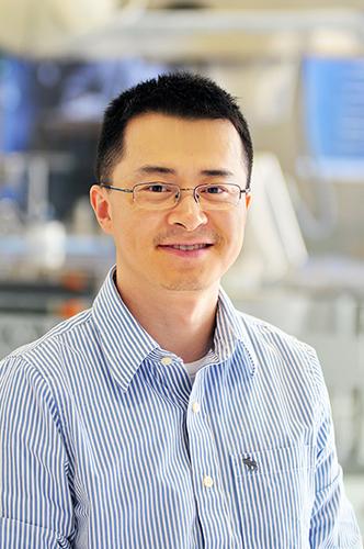 Li Xin, Baylor College of Medicine