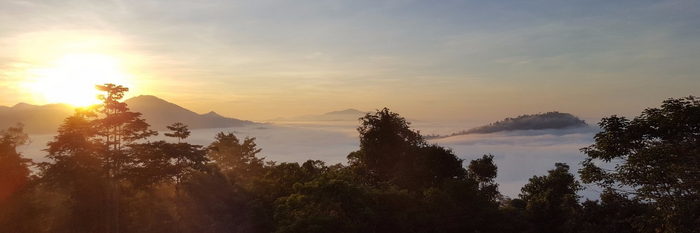Image taken above tree tops showing sunset in Danum Valley in Malaysia