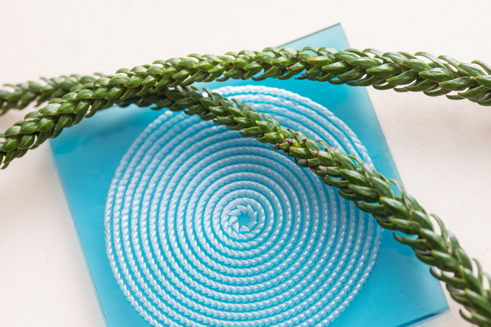 Araucaria leaf and the Araucaria leaf-inspired surface.