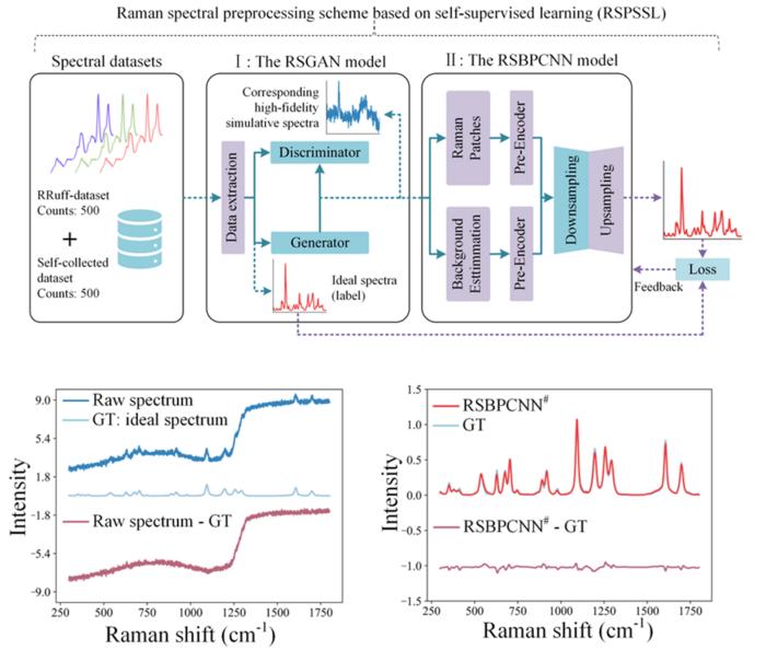 Raman spectral preprocessing strategy based on self-supervised learning (RSPSSL) and its spectral preprocessing performance.