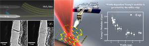 Mechanical properties of single-layer MoS2 nanoribbons investigated using a new micromechanical measurement method