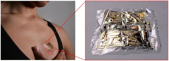 Organic Differential Amplifier 