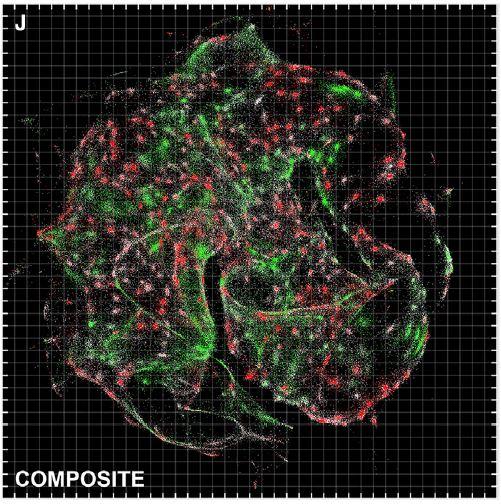 Data Visualization with DNA microscopy