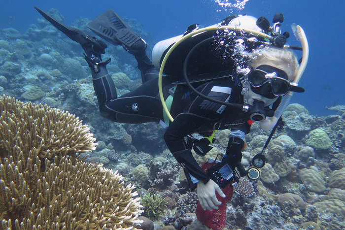 Academy Curator Rebecca Albright, PhD, in Palau