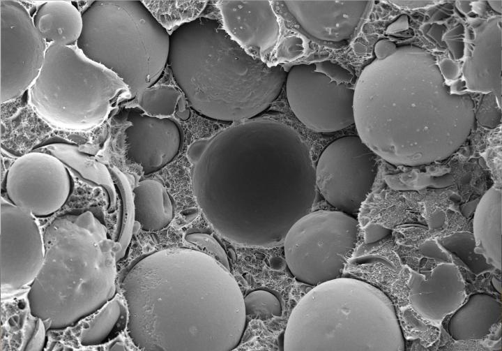 Electron Micrograph of Syntactic Foam With Fly-Ash Microspheres