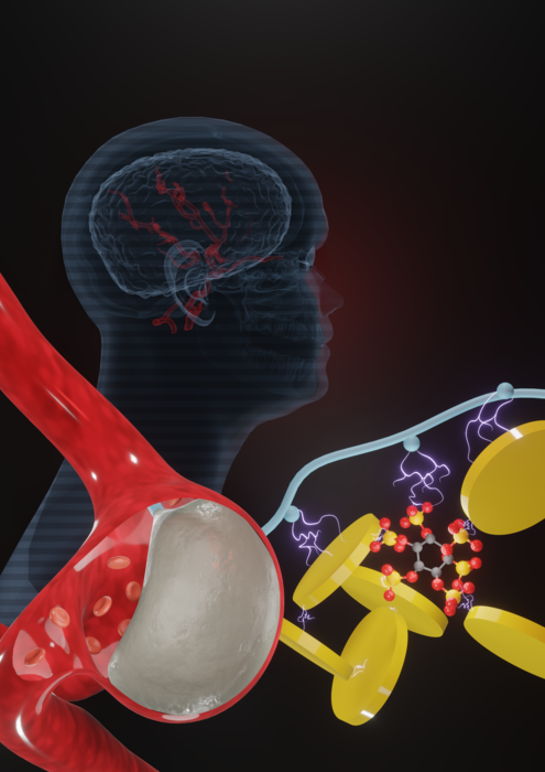 Injectable Biomaterial with Enhanced Mechanical and Coagulative Capabilities for Treating Aneurysms