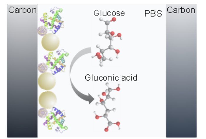 Researchers boost accuracy of home-based continuous glucose monitoring