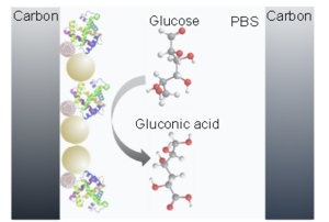 Researchers boost accuracy of home-based continuous glucose monitoring