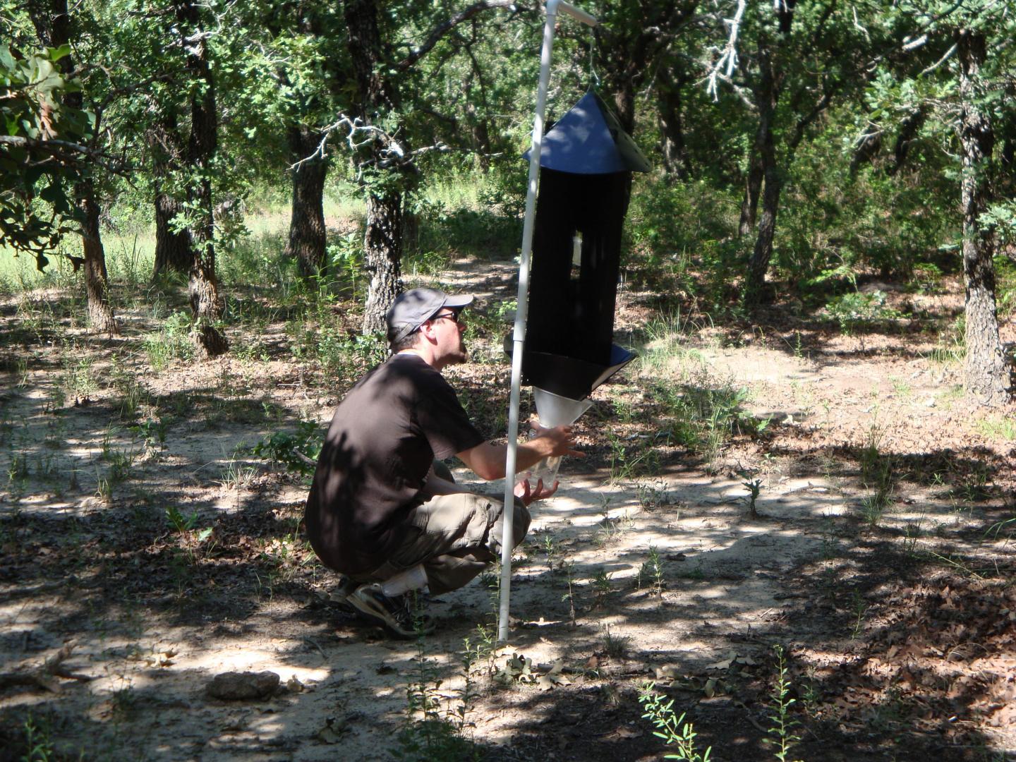 Robert Mitchell & Beetle Trap