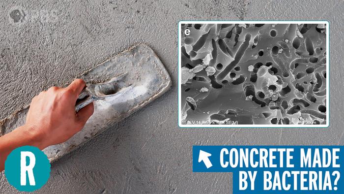 The rise of bio-concrete (video)