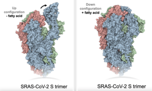 Switching mechanism