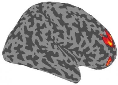 Center for Uncertainty