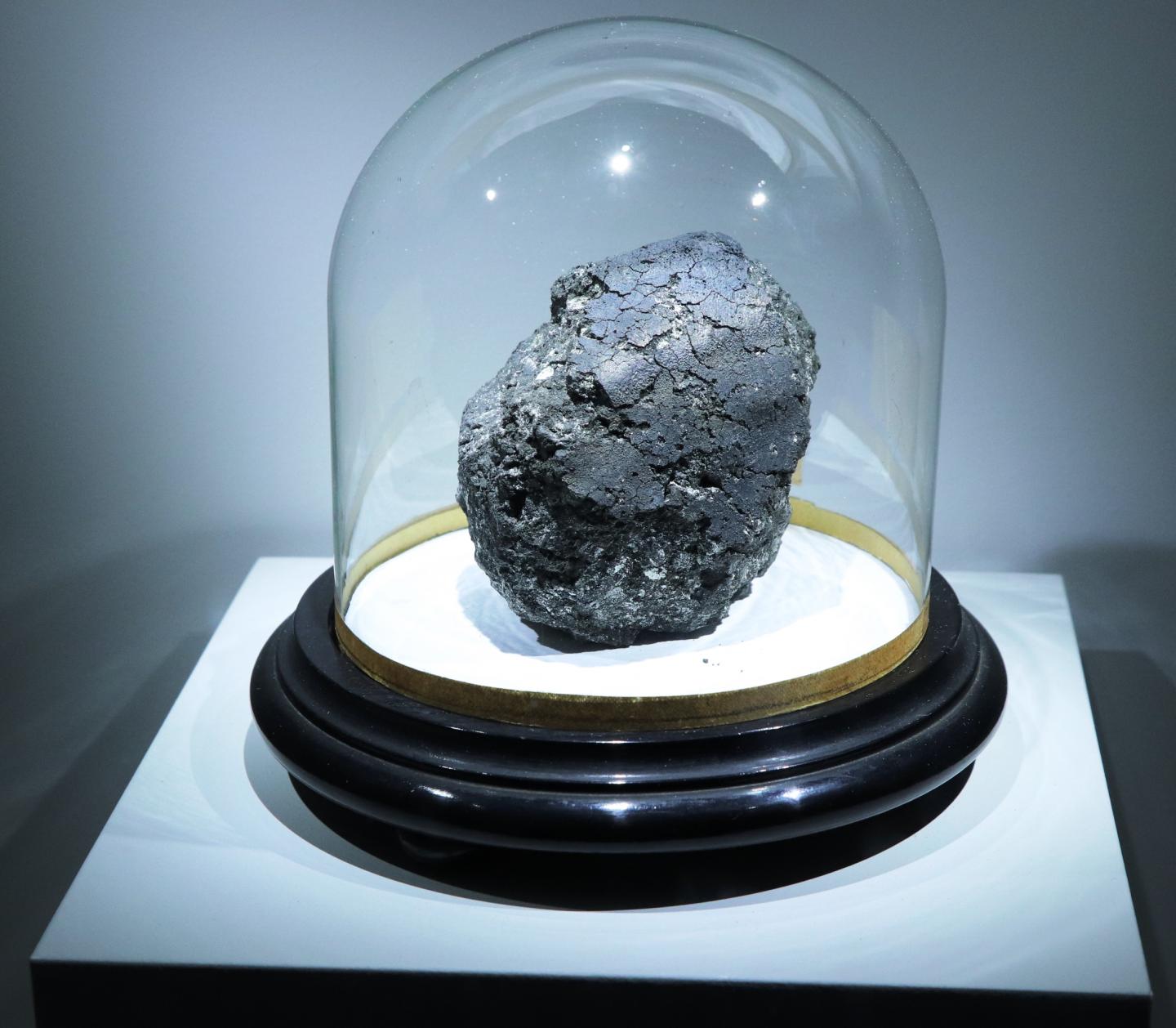 The Orgueil Carbonaceous Meteorite