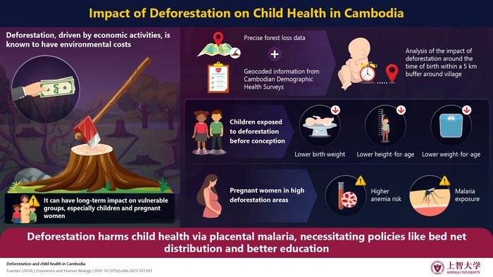 The hidden toll of deforestation in Cambodia