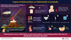 The hidden toll of deforestation in Cambodia