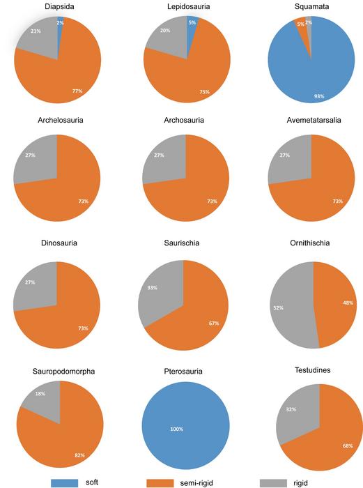 Summary of ancestral eggshell type for major nodes with the maximum posterior probabilities in all ASR analyses