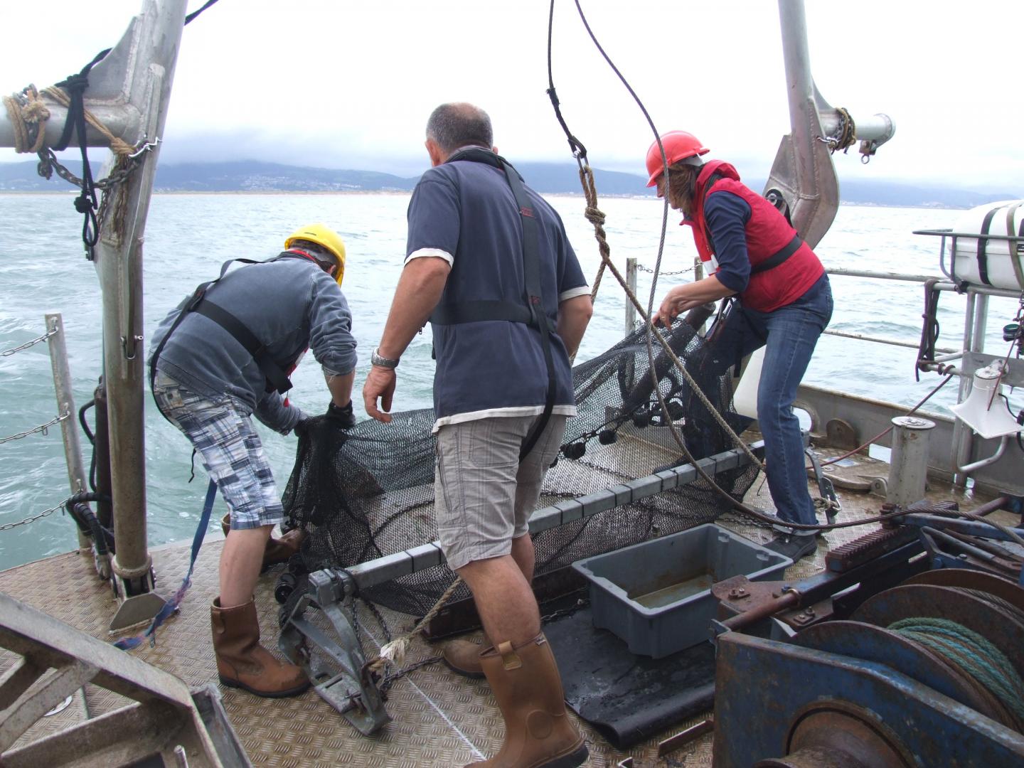 Researchers taking samples of species in Swansea Bay, Wales