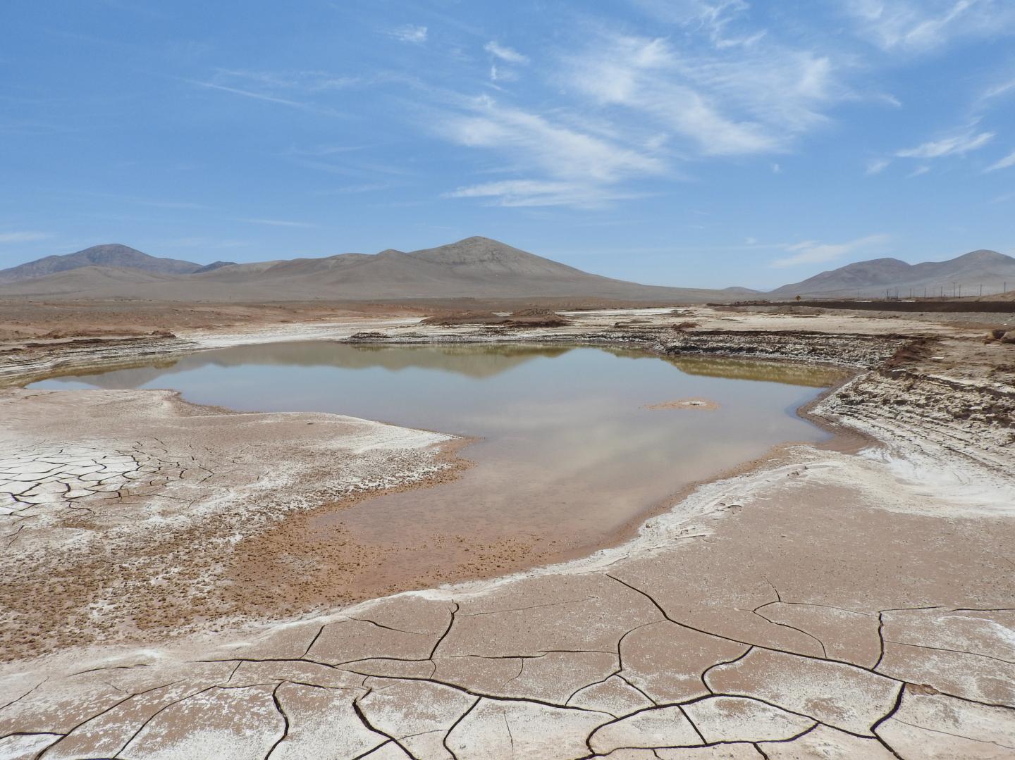 The Atacama Desert