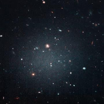 Hubble Views a Galaxy Lacking Dark Matter
