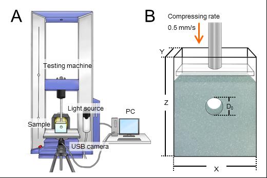 Experimental Setup