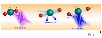 X-ray Pumping and Probing